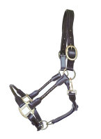 Lederhalfter "Tessa" Pony