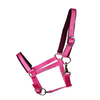 Kunststoffhalfter "Basic" unterlegt Cob pink
