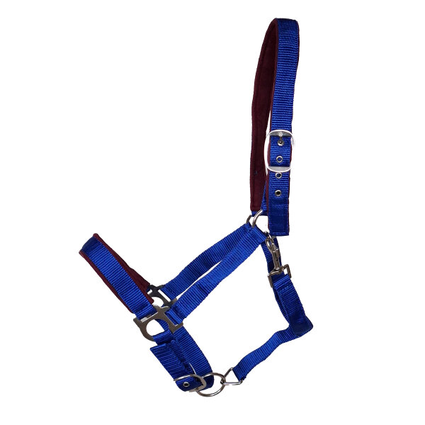 Kunststoffhalfter "Basic" unterlegt Cob blau