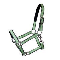 Kunststoffhalfter "Paddock Bicolor"