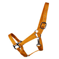 Stall- und Weidehalfter Standard