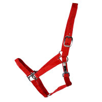 Stall- und Weidehalfter Standard