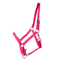 Kunststoffhalfter "Basic" Minishetty magenta