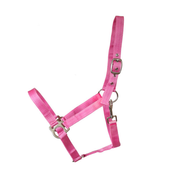 Kunststoffhalfter "Basic" Shetty pink